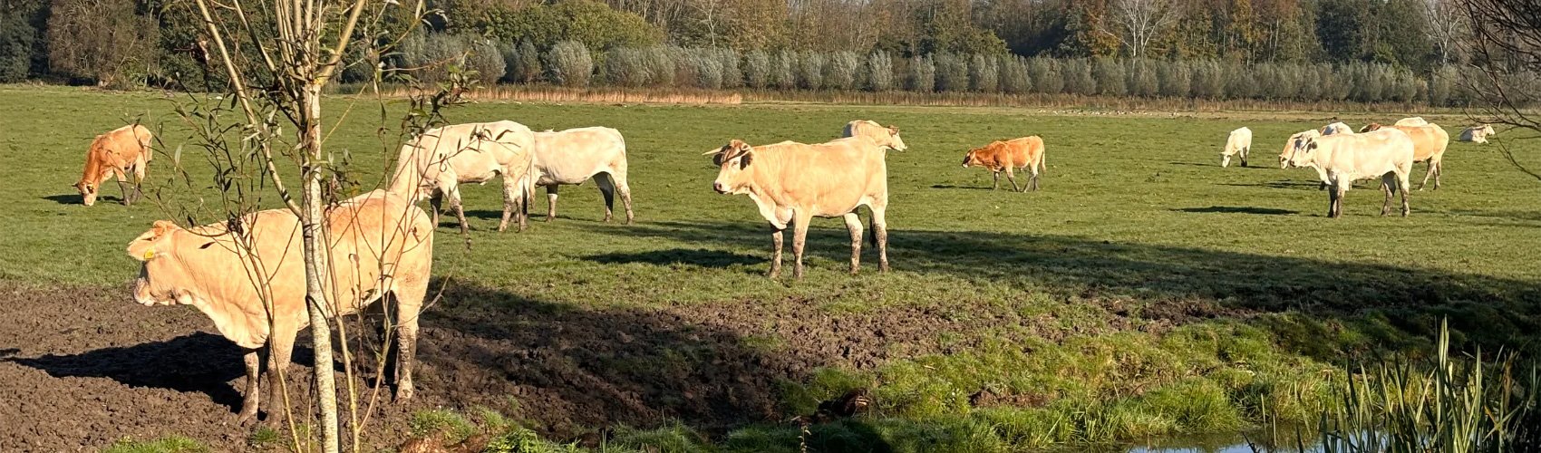 BÈTA industrie helpt met het optimaliseren van uw mestverwerking