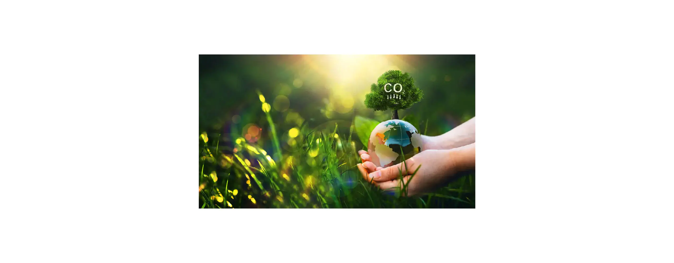 Carbon Capture | BÈTA industrie