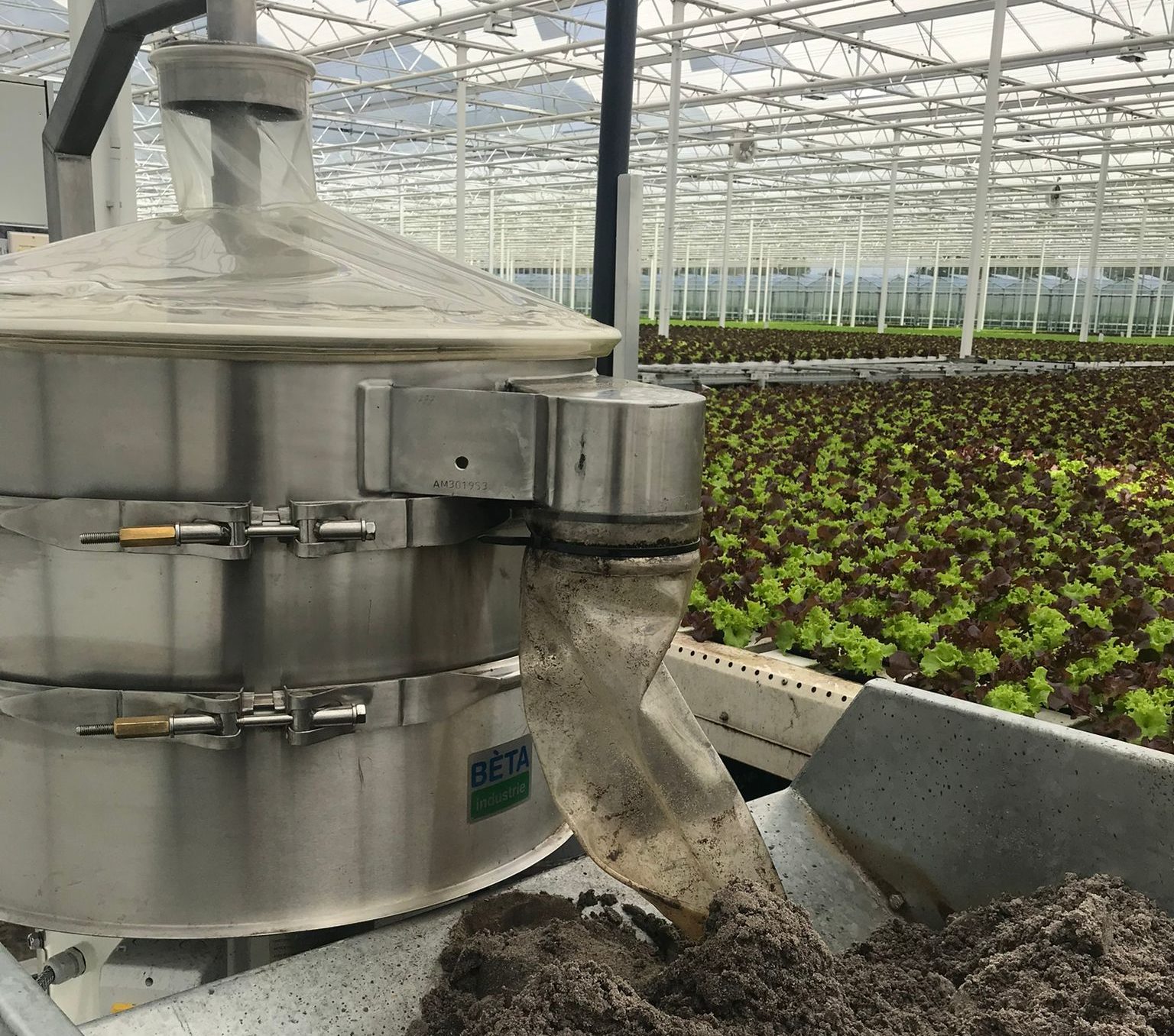 Trilzeef bij tuinbouwklant 3 Trilzeef bij tuinbouwklant 3