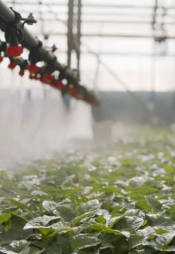 Tuinbouw | BÈTA industrie Duurzame oplossing voor Tuinbouw | BÈTA industrie