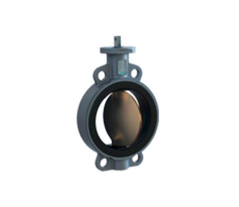 Vlinderklep Ring type series S 58 Bonded liner | Beta Industries